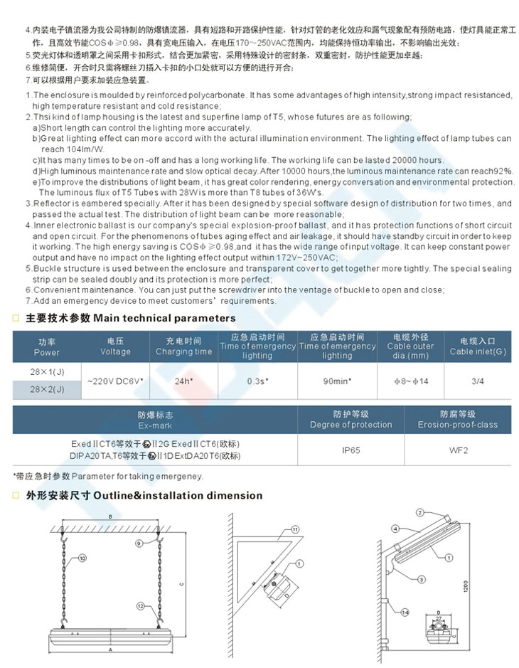 BYS52系列防爆防腐全塑熒光燈(IIB、IIC)