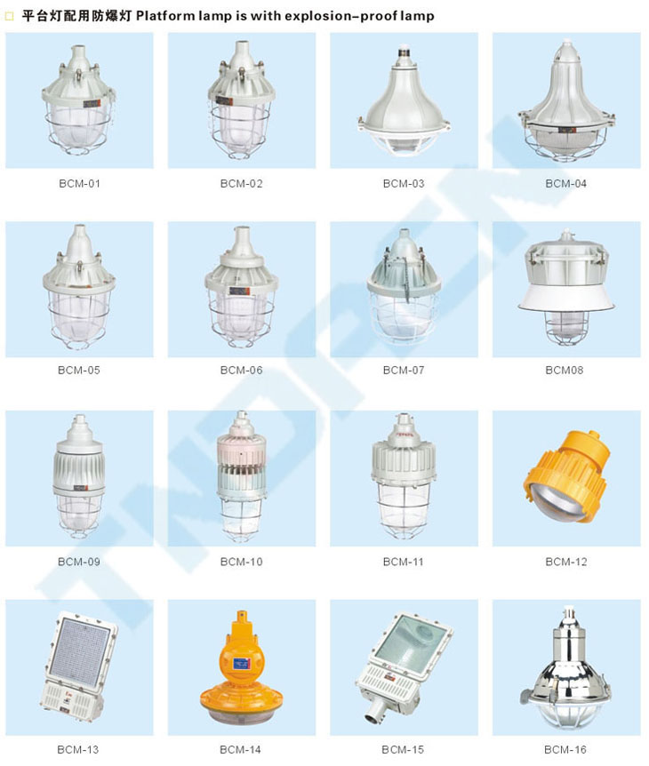 BCM系列防爆馬路燈(IIB、IIC、e)