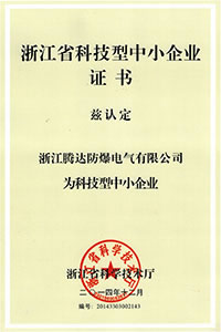 浙江省科技型中小時(shí)企業(yè)證書